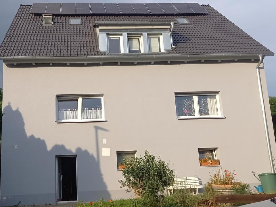 Property building, Day