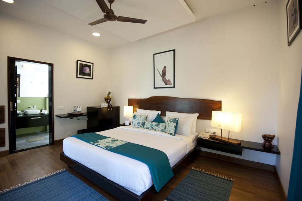 Photo of the whole room