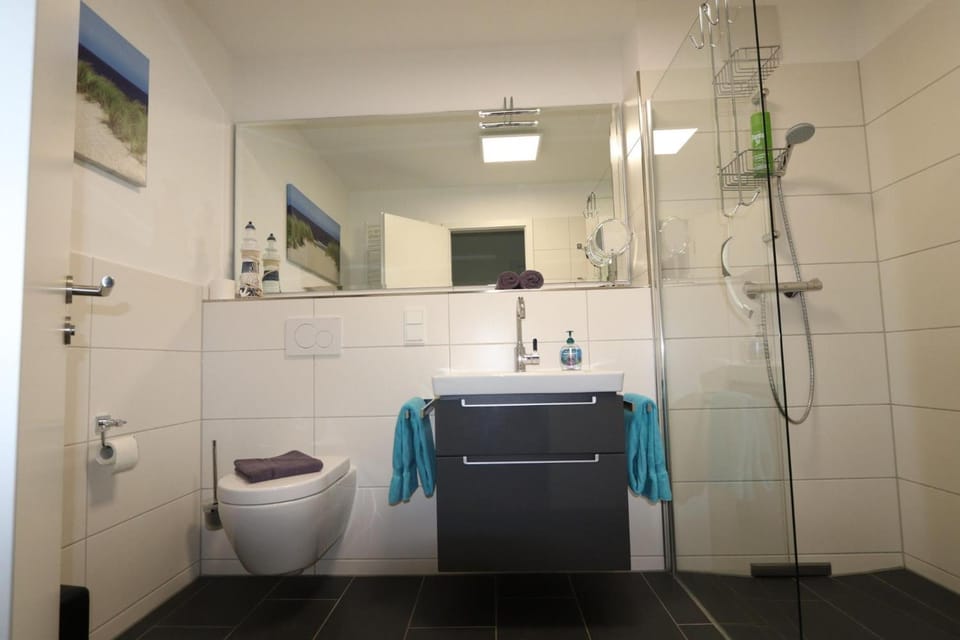 Shower, Toilet, Bathroom, towels