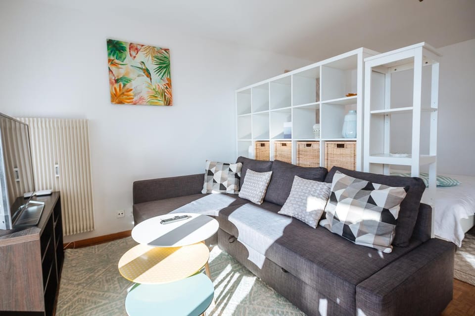 Terrace with Lake & Mountain View Apartment in Montreux