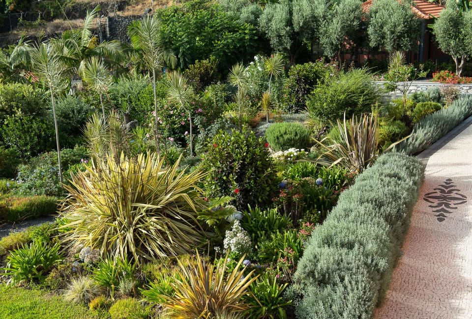 Day, Natural landscape, Garden, Garden view