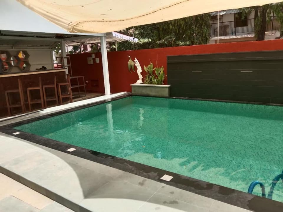 Day, Pool view, Swimming pool, Swimming pool