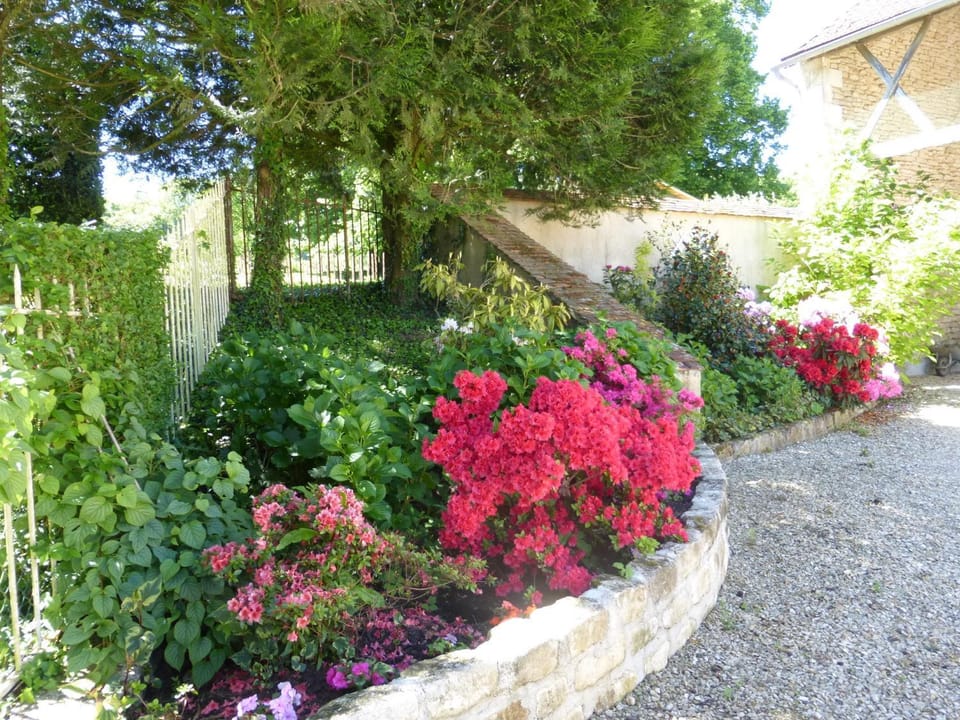 Patio, Garden view