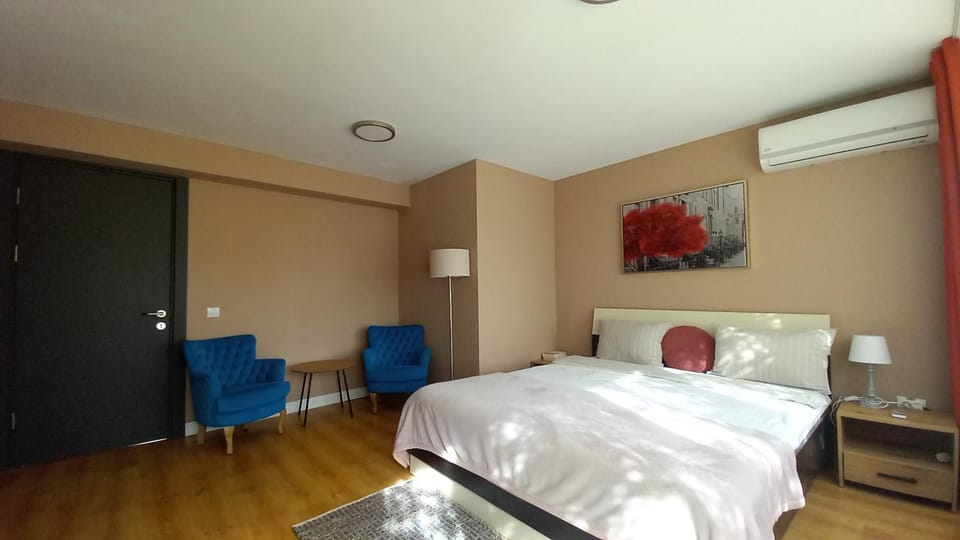 Bed, Photo of the whole room, Bedroom, air conditioner