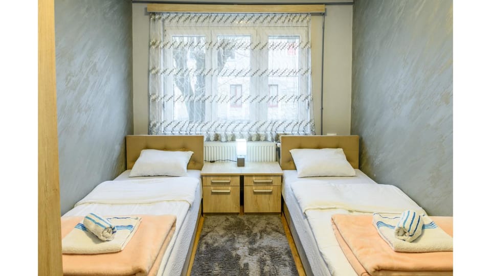 Vujisić Apartment in the City Center Apartment in Montenegro