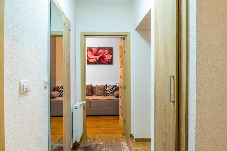 Vujisić Apartment in the City Center Apartment in Montenegro