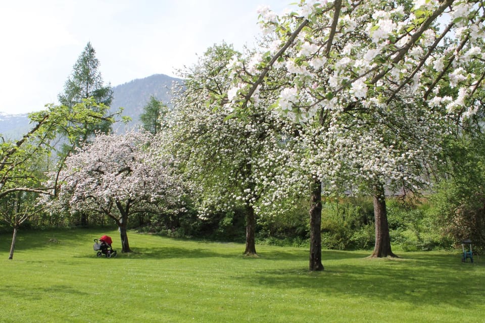 Spring, Garden, Balcony/Terrace, On site, Area and facilities