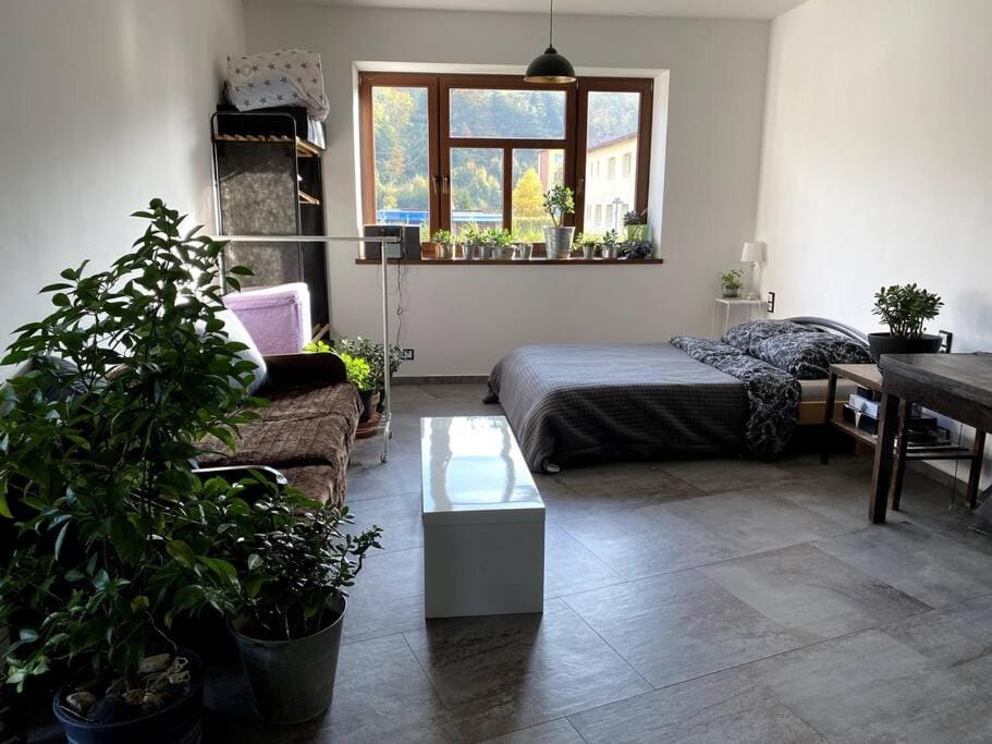 Apartmán v prvorepublikové vile Apartment in Lower Silesian Voivodeship