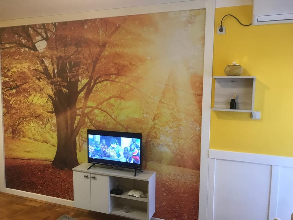 TV and multimedia
