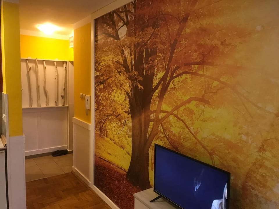 TV and multimedia, Photo of the whole room