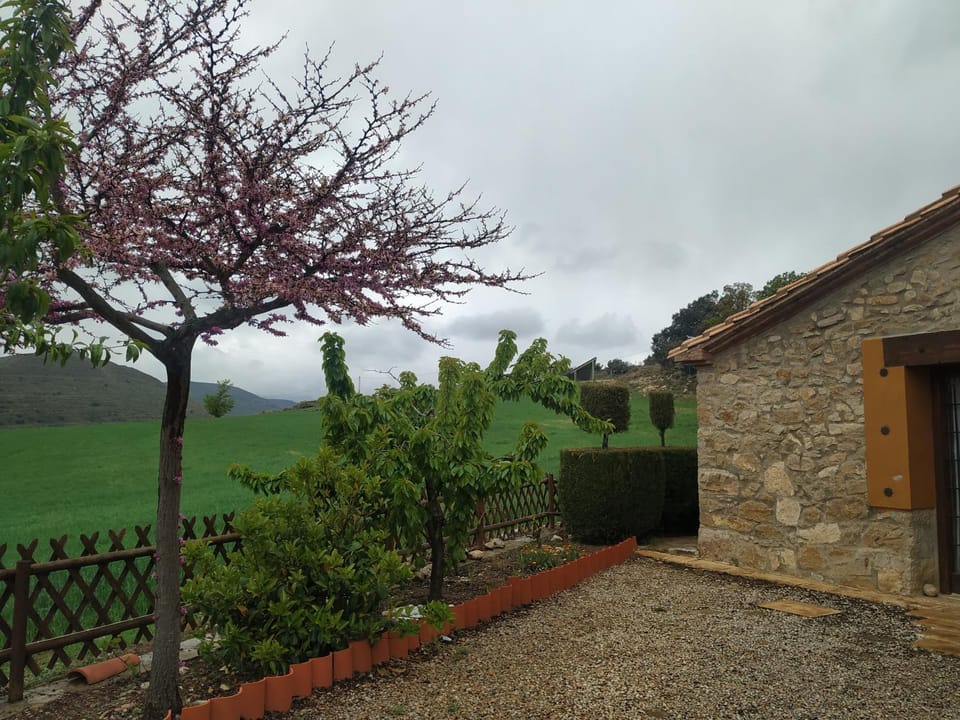 La Casa Del Llano Country House in Valencian Community