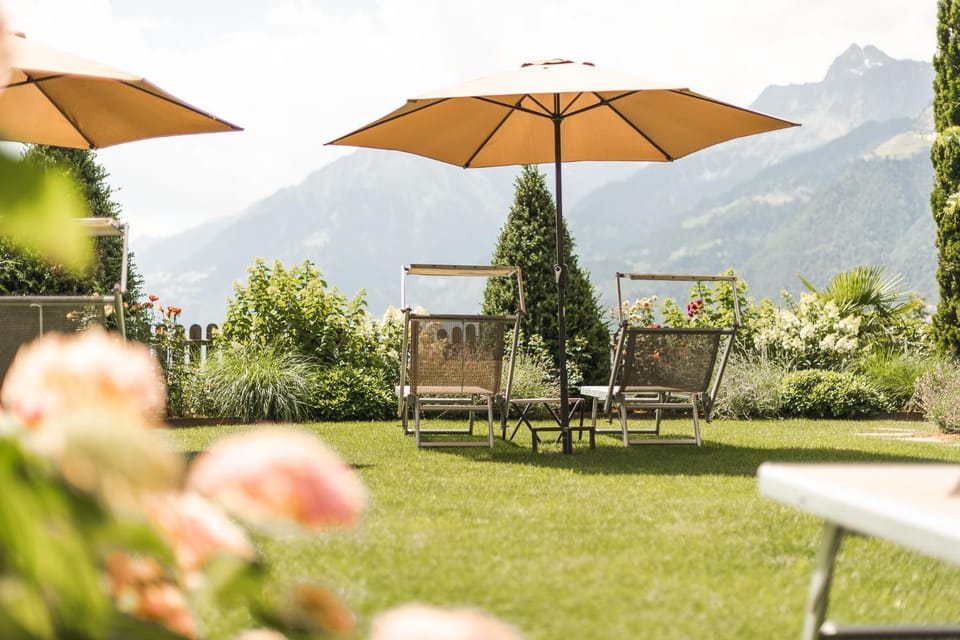 Summer, Garden, Garden view, Mountain view