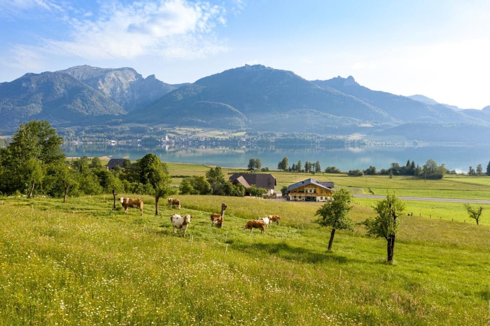 Fumerhof Apartment in Salzburgerland