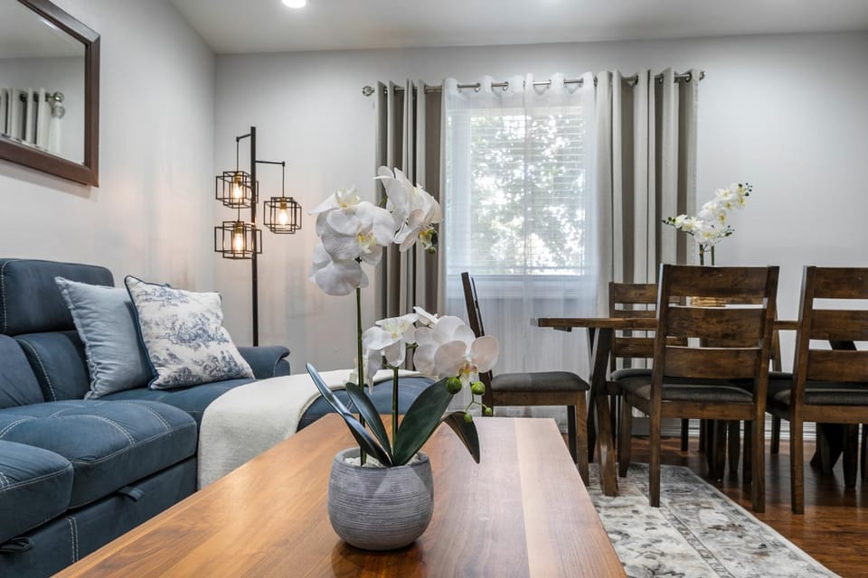 Seating area, Dining area