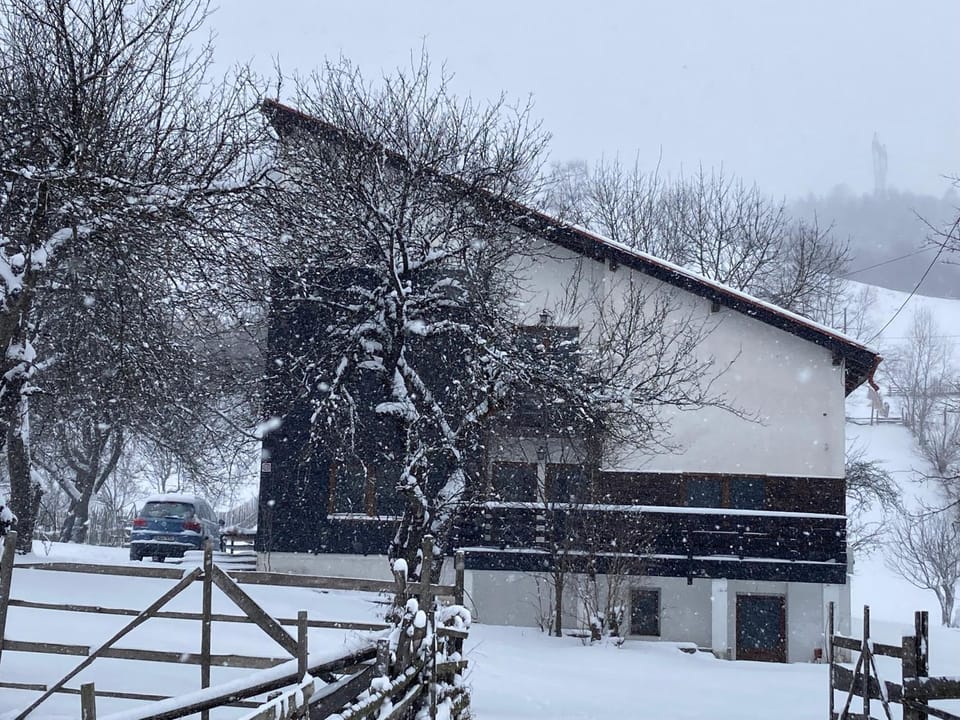 Winter