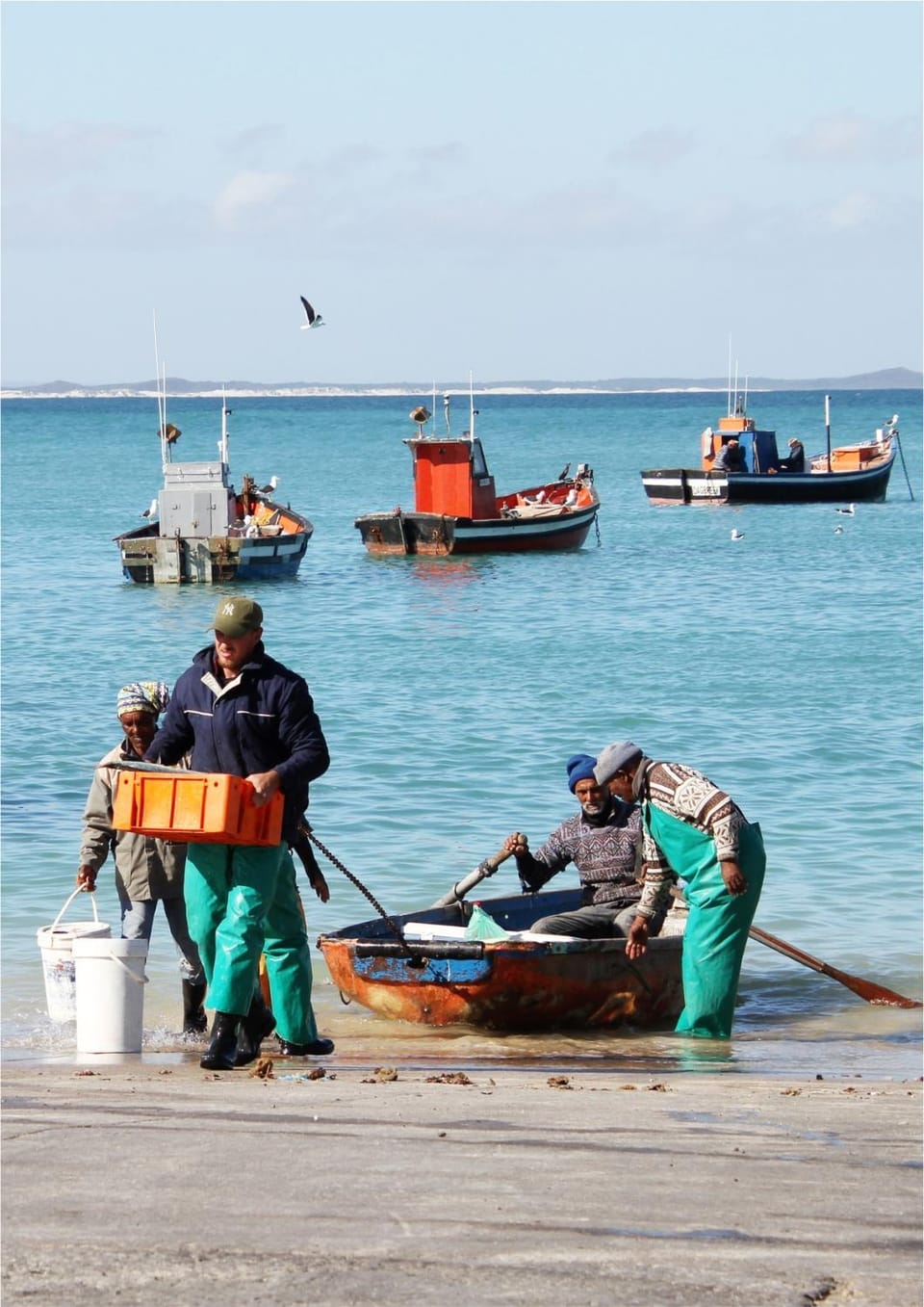 Fishing, Snorkeling, Windsurfing, Diving