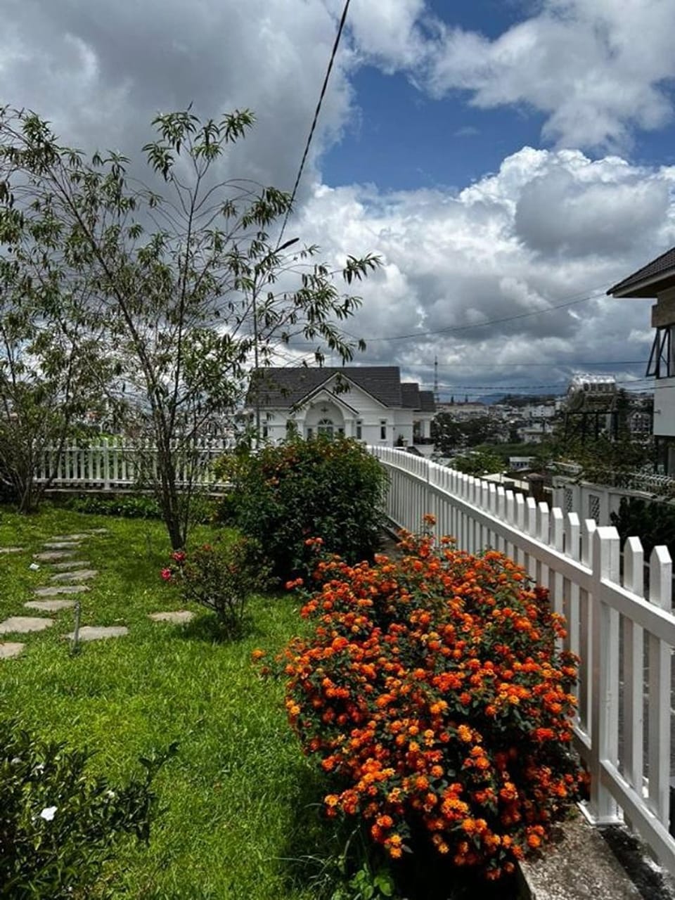 Garden view