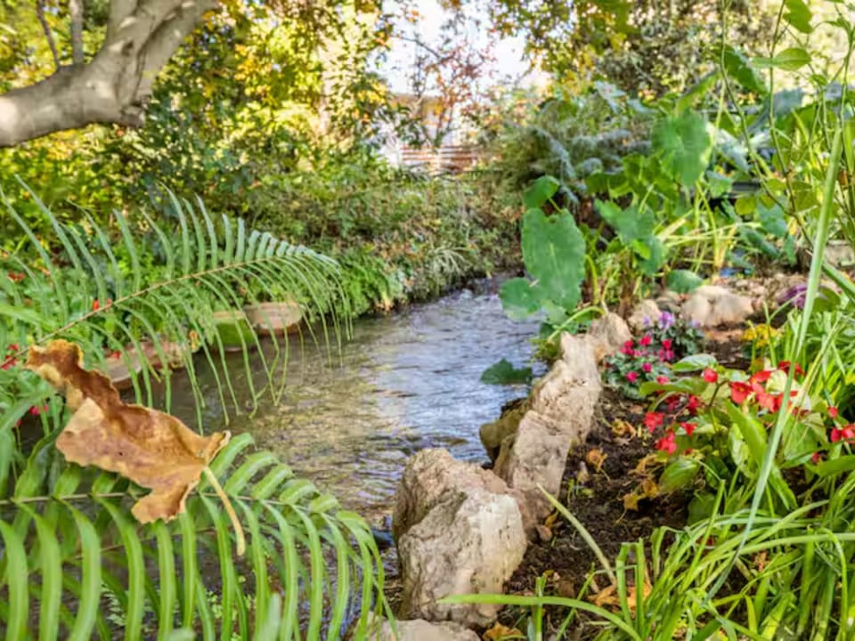 Spring, Natural landscape, Garden, Garden view