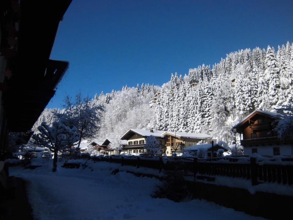 Neighbourhood, Natural landscape, Winter