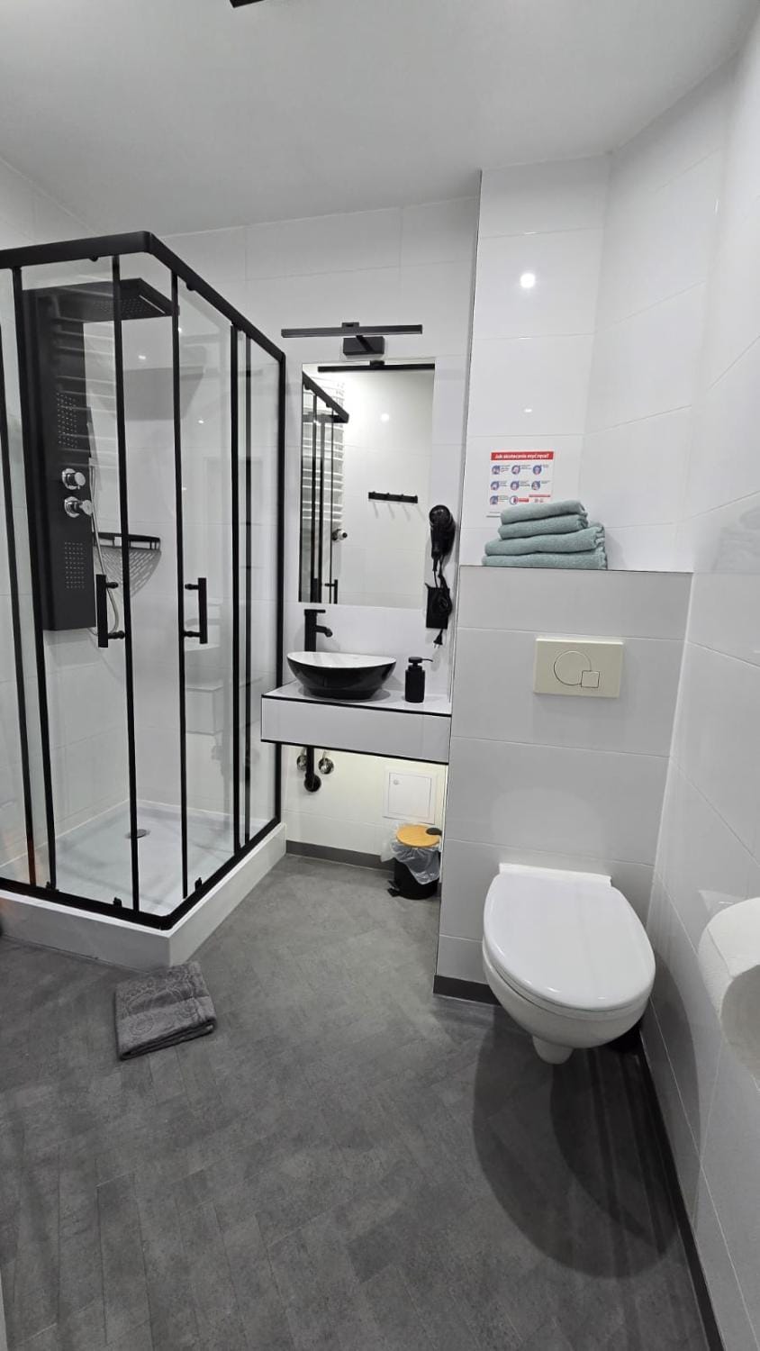 Toilet, Bathroom, hair dryier
