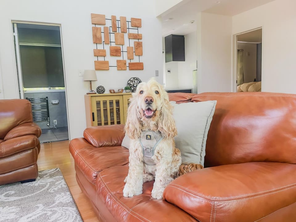 Animals, Animals, Animals, Pets, Pets, Pets, pet friendly, pet friendly
