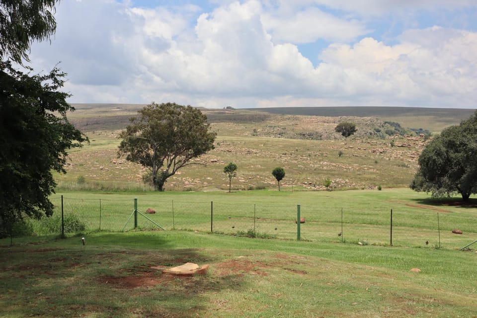 View (from property/room)