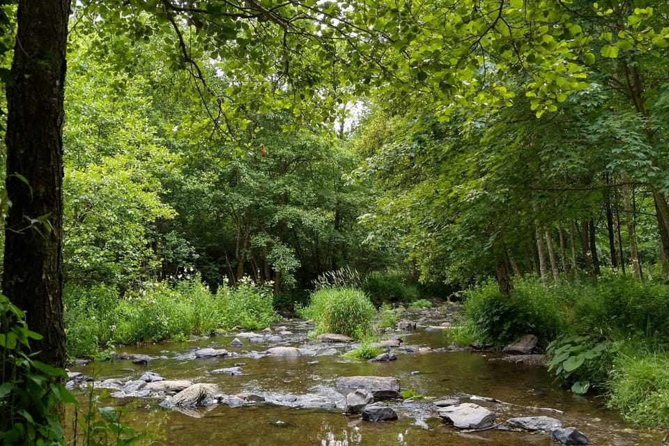 Day, Natural landscape