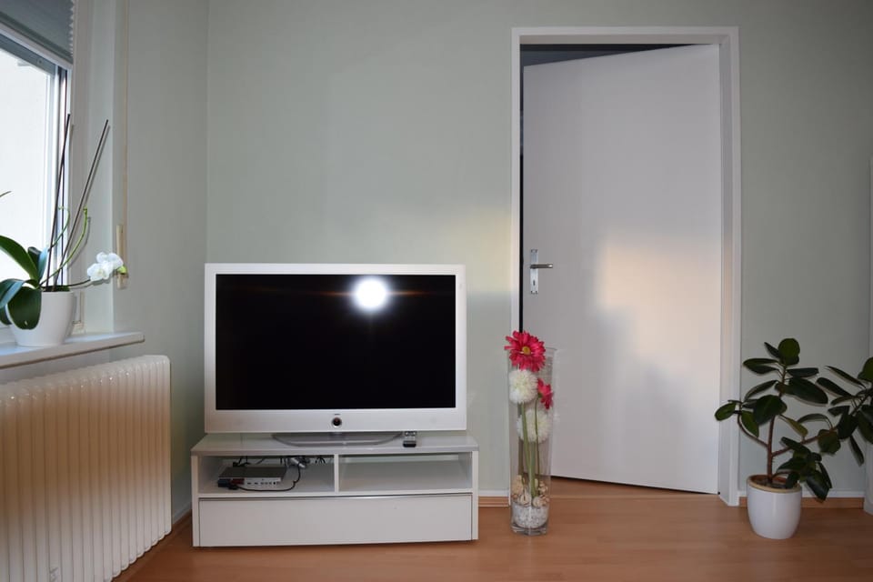 Ferienwohnung Wörrstadt Apartment in Mainz-Bingen
