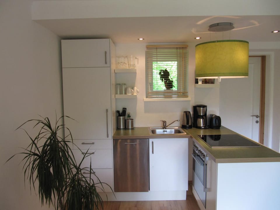 Kitchen or kitchenette, Dining area, dishwasher, pet friendly, stove