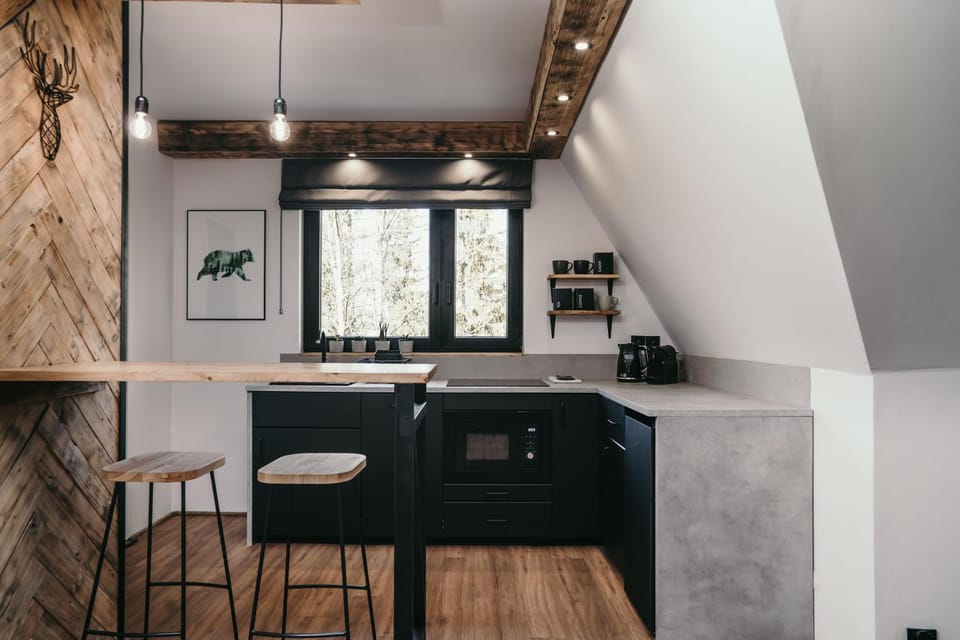 Tatra Loft Apartment in Zakopane