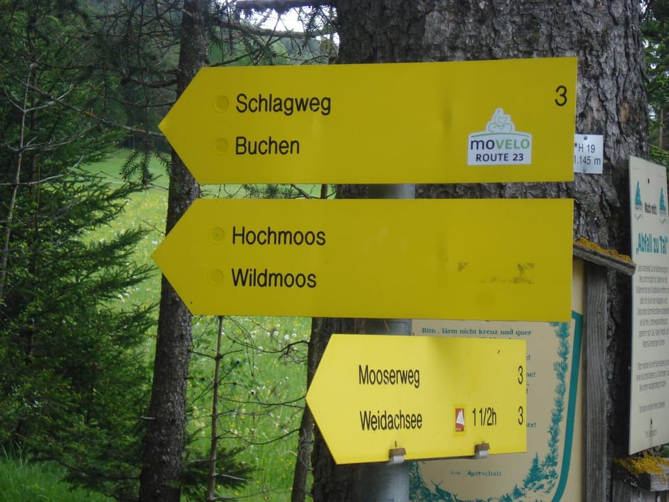 Hiking