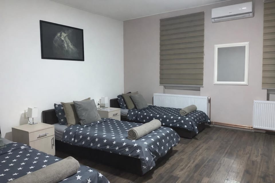 Alex Lodge Apartment in Timiș County