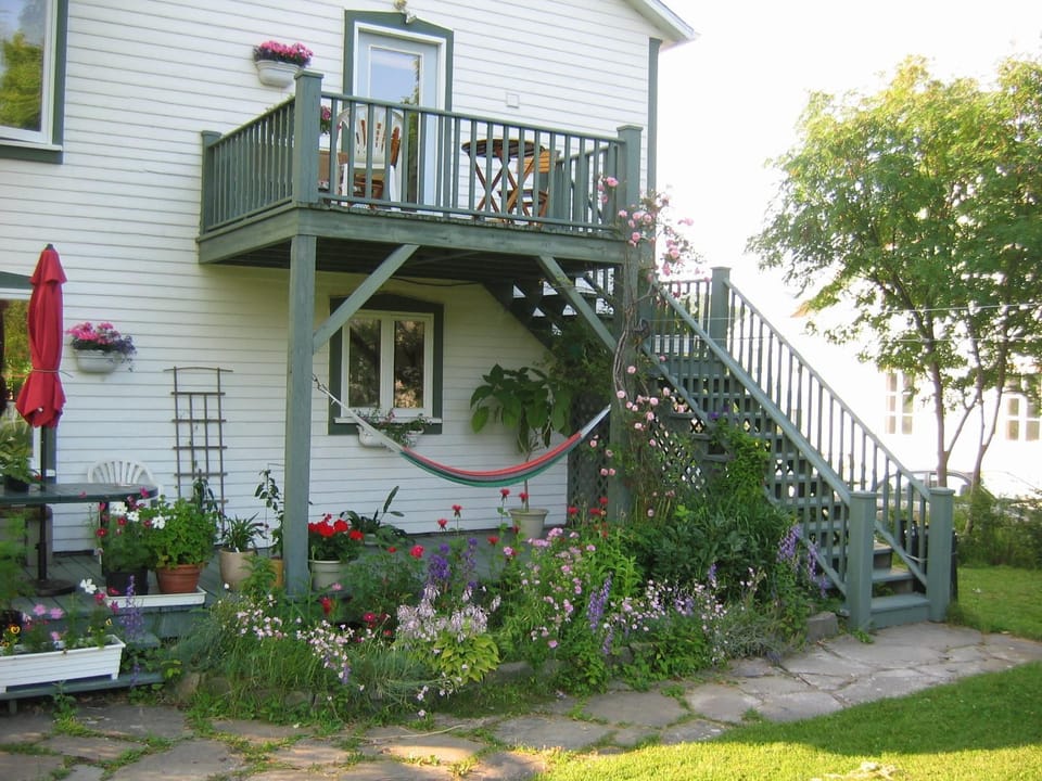 Patio, Inner courtyard view
