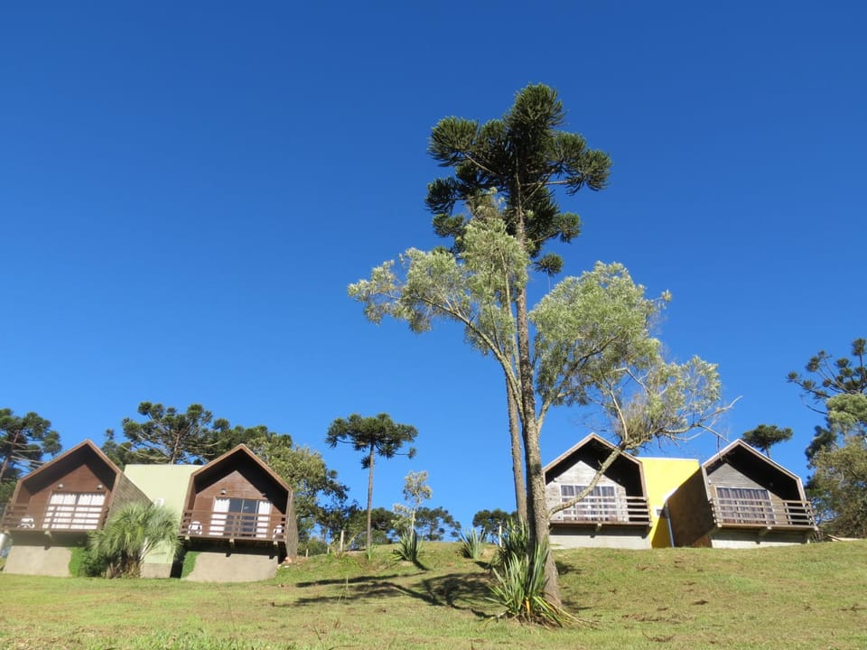 Property building, Natural landscape, Garden, Garden view