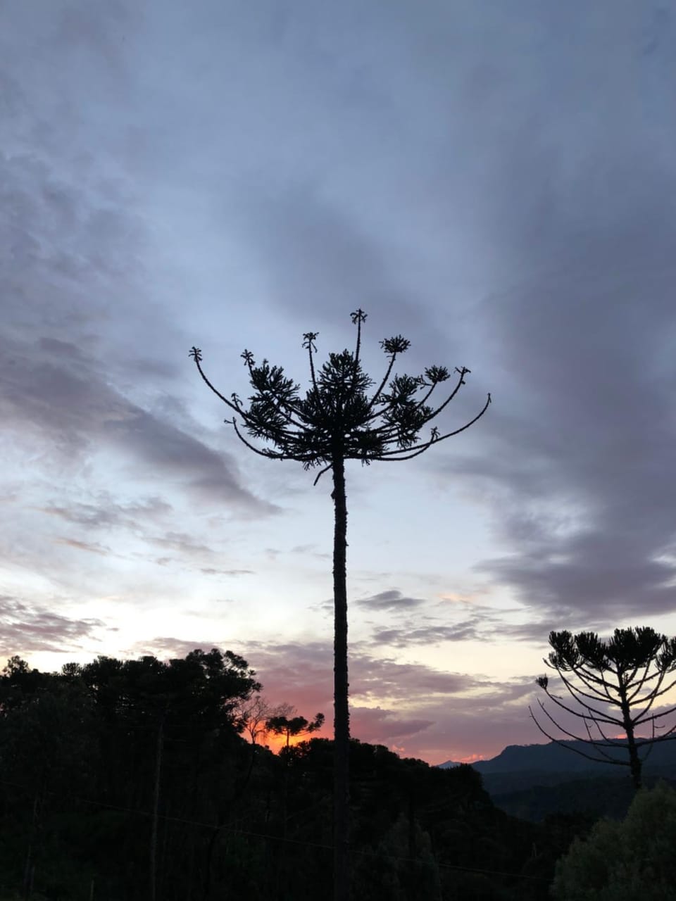 Natural landscape, Mountain view, Sunset