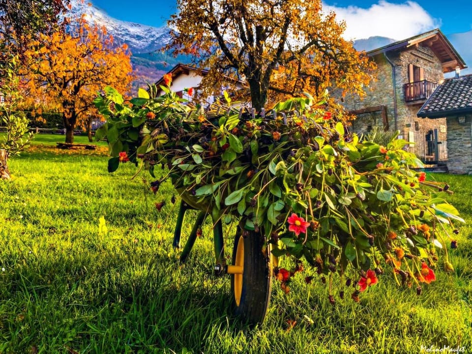 Winter, Garden, Garden, Autumn, Garden view, Garden view