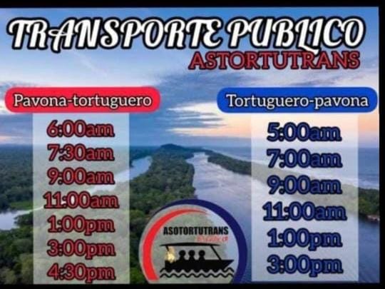 Casa turtle Bogue Bed and Breakfast in Costa Rica