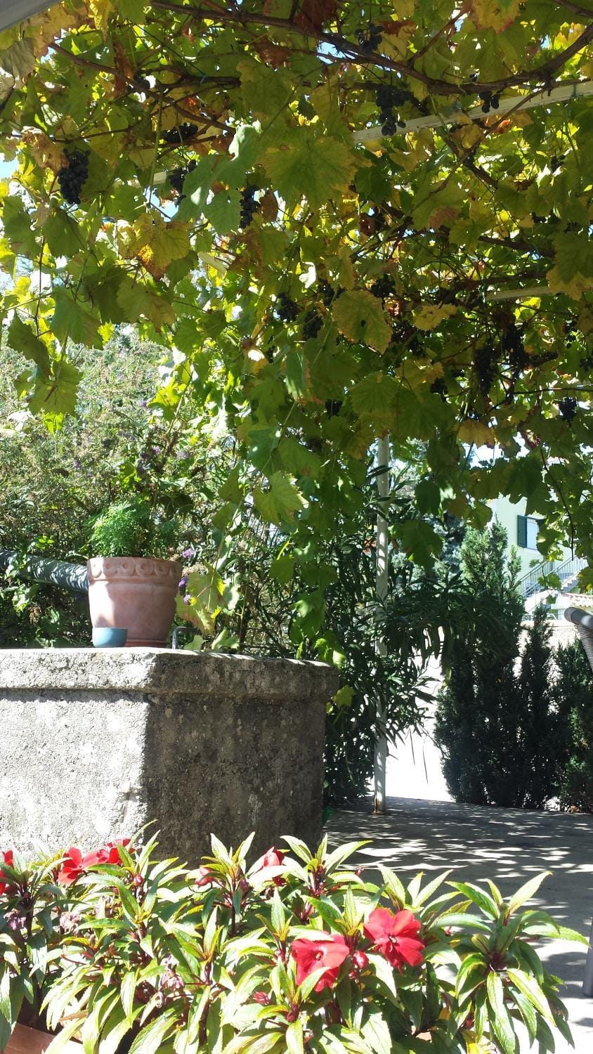 Mia Apartment in Rijeka