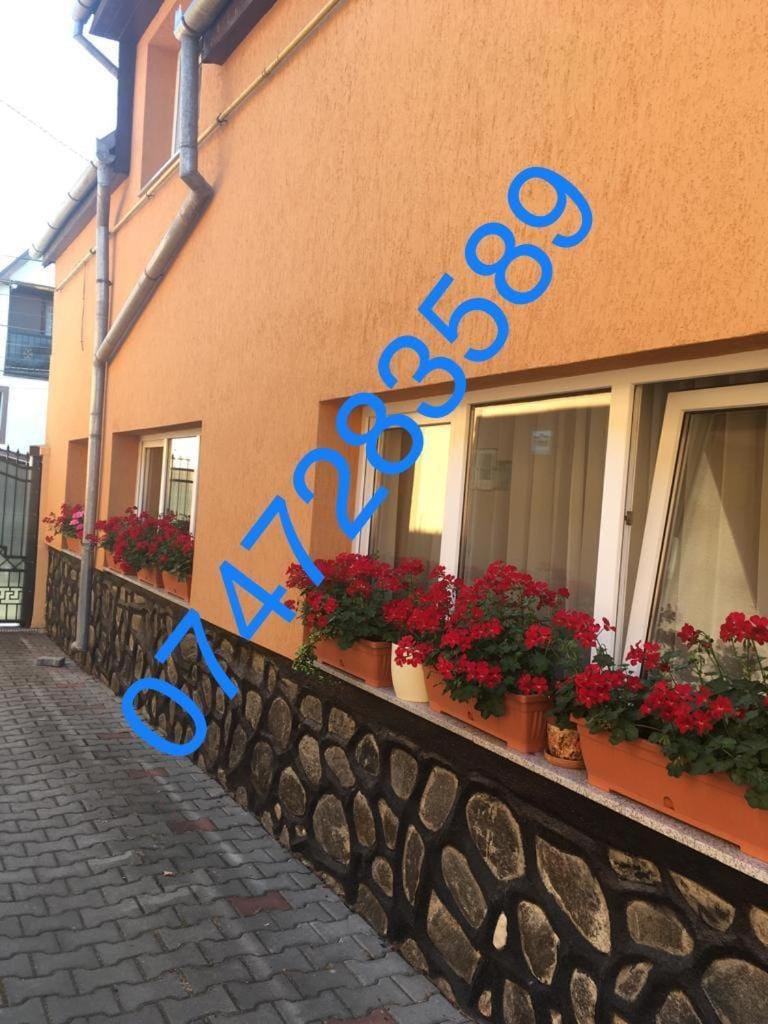 Property building, Text overlay, Street view