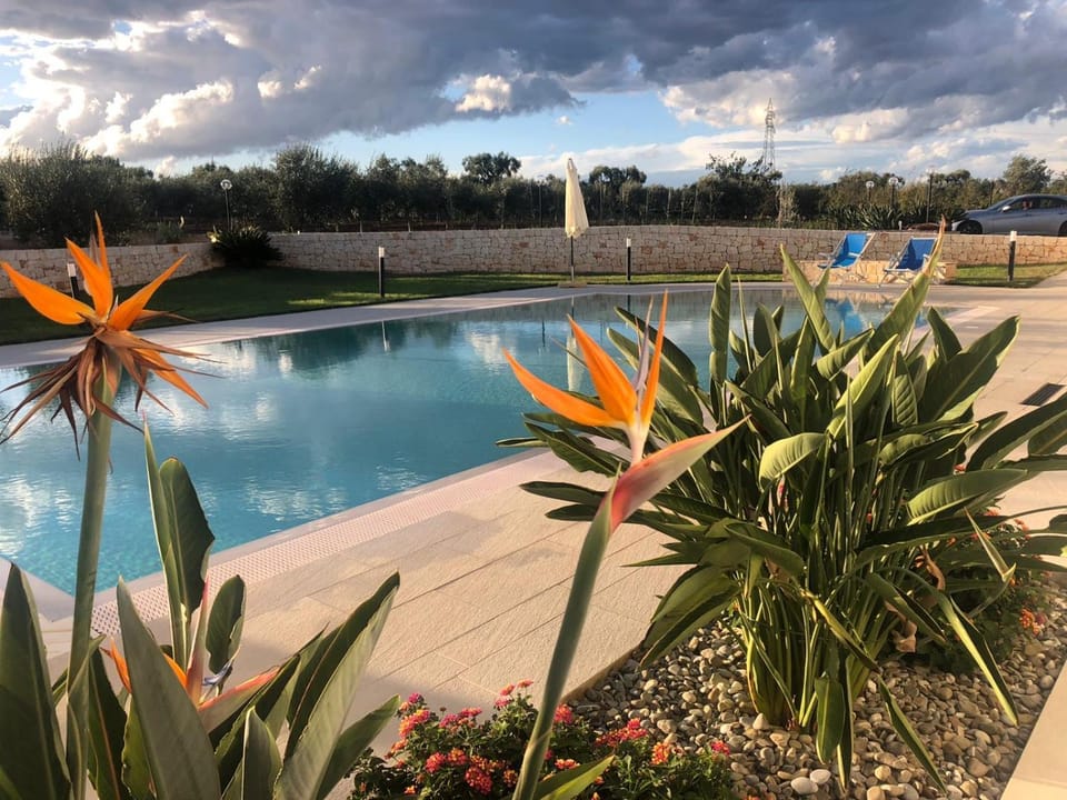 I Trulli di Gina Appartamento 4 persone Apartment in Apulia