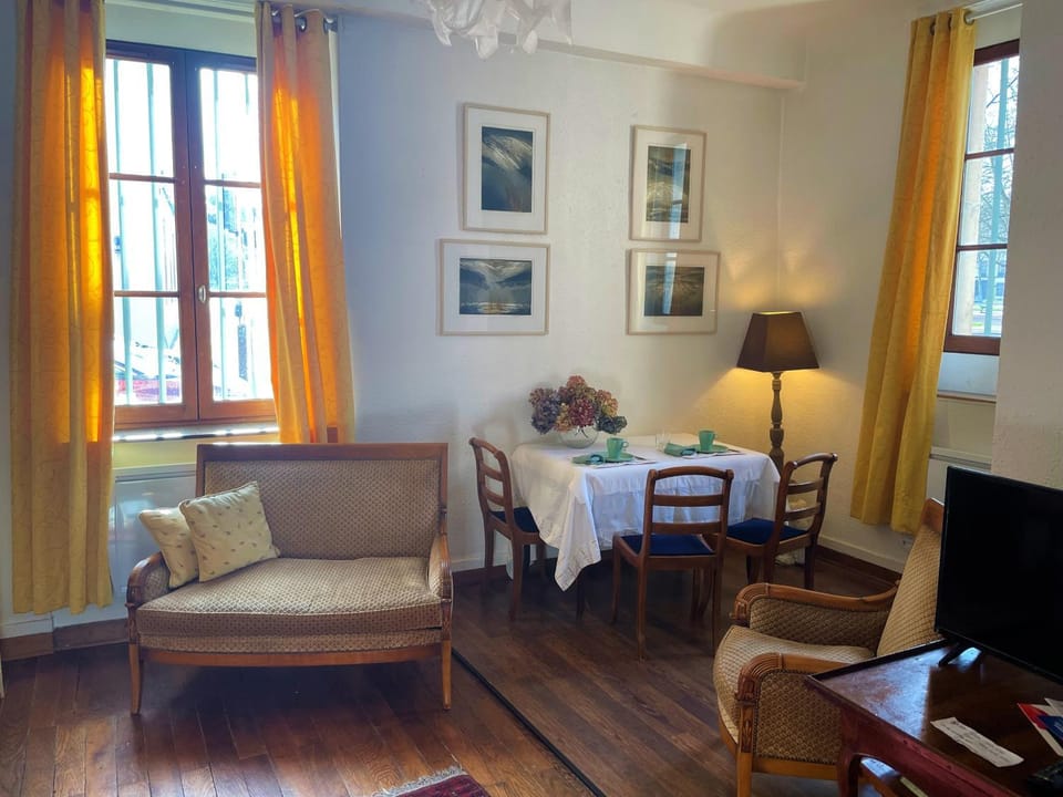 Très bel appartement dijonnais place Wilson GUTEMBERT Apartment in Dijon