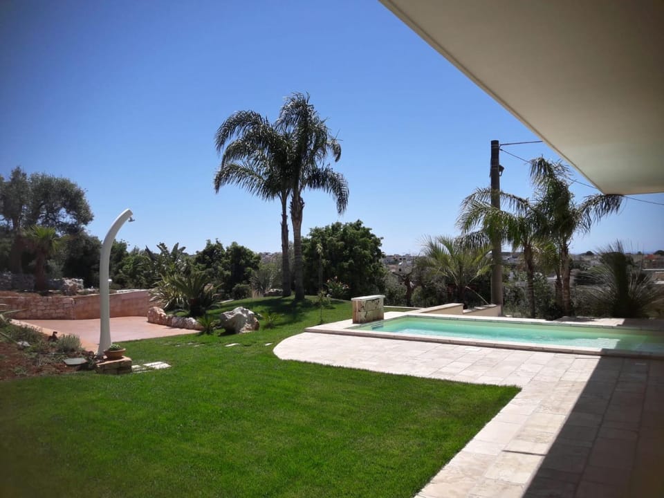 Garden, Swimming pool, Swimming pool