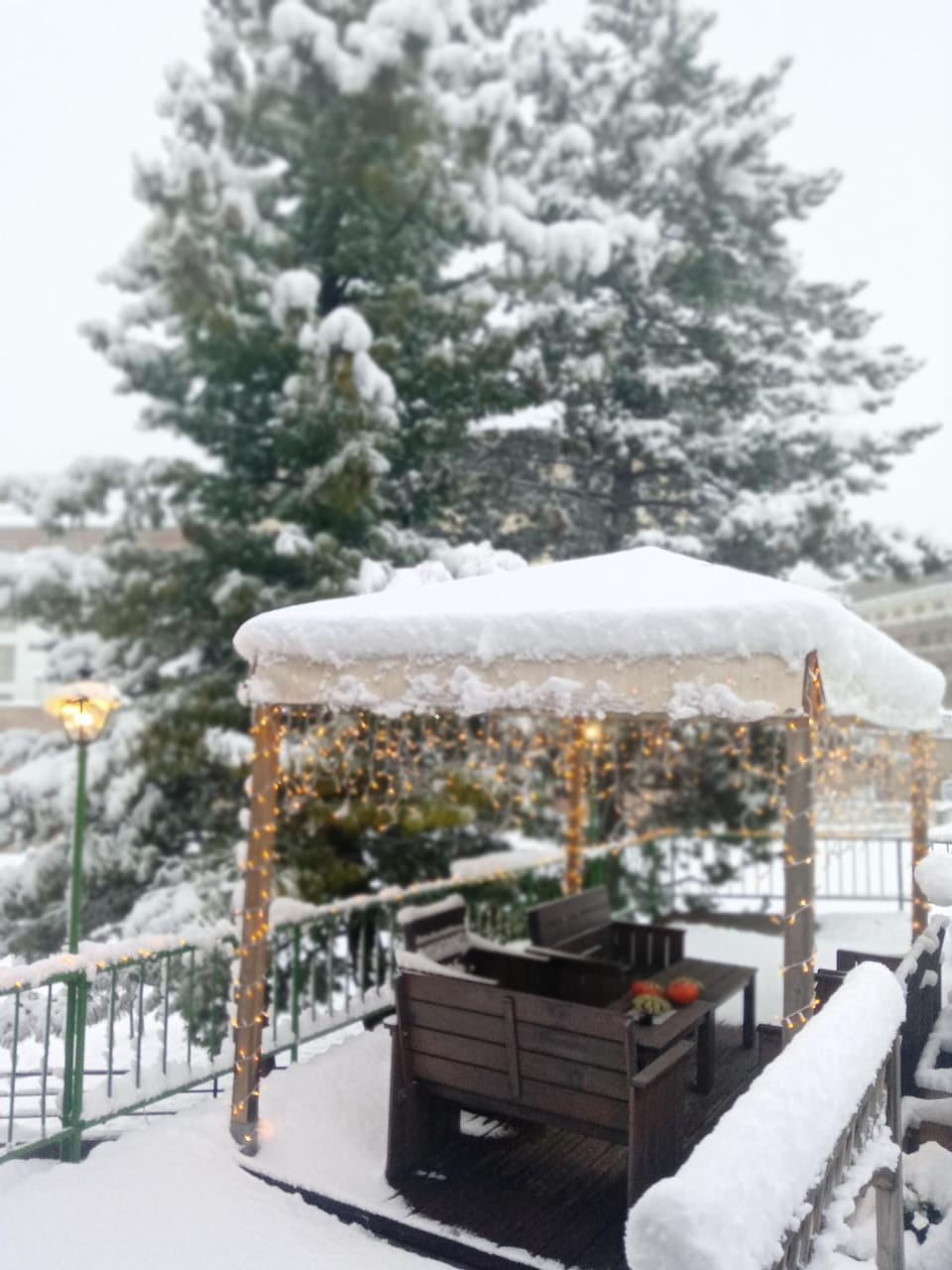 Patio, Winter
