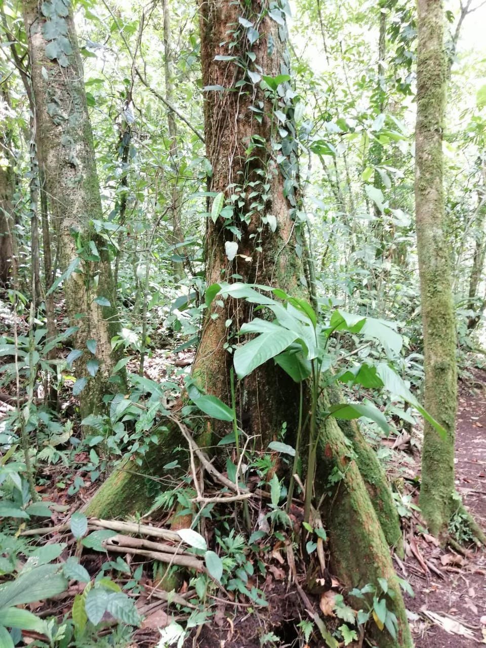 Natural landscape, Hiking