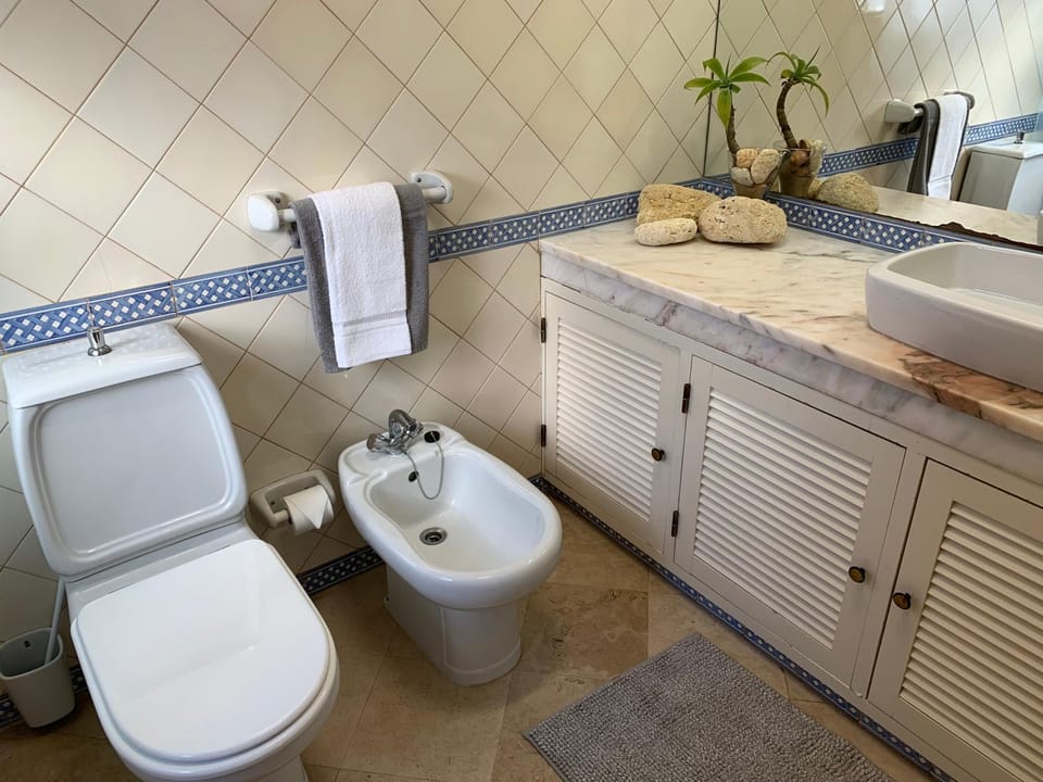 Toilet, Bathroom, bidet