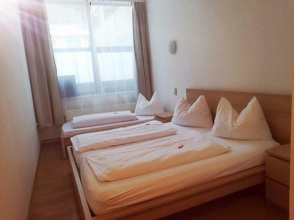 Econnomy Adler Apartment in Salzburgerland
