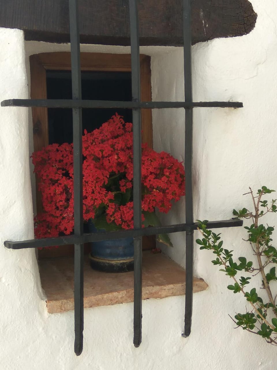 Decorative detail