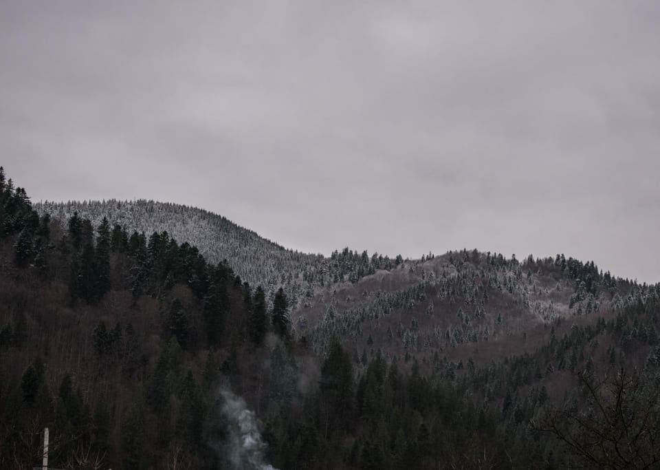 Mountain view