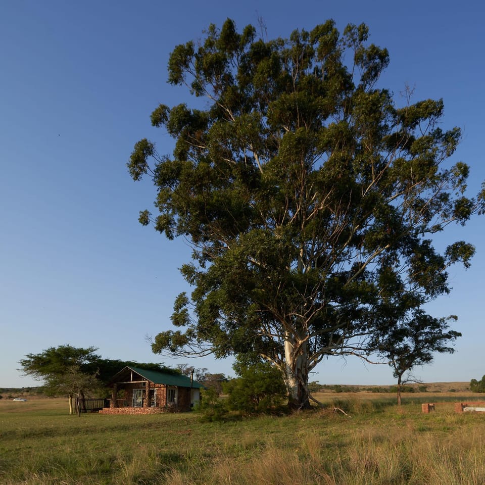 Property building, Natural landscape