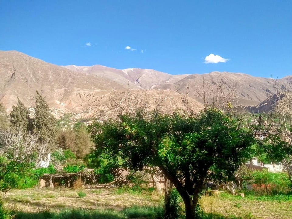 Garden, View (from property/room), Mountain view
